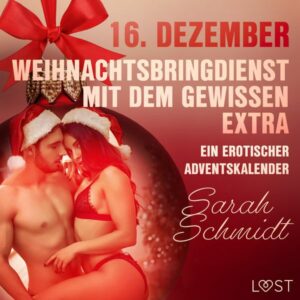 16. Dezember: Weihnachtsbringdienst mit dem gewissen Extra – ein erotischer Adventskalender